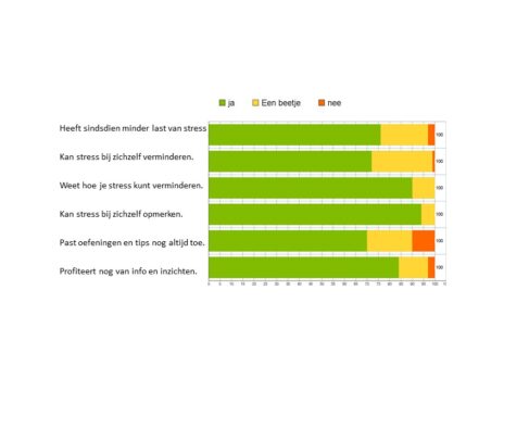 Leer medewerkers stress te hanteren. Daar heeft iedereen plezier van.